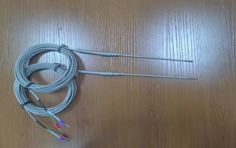 850度高溫熱電阻溫傳感器PT100