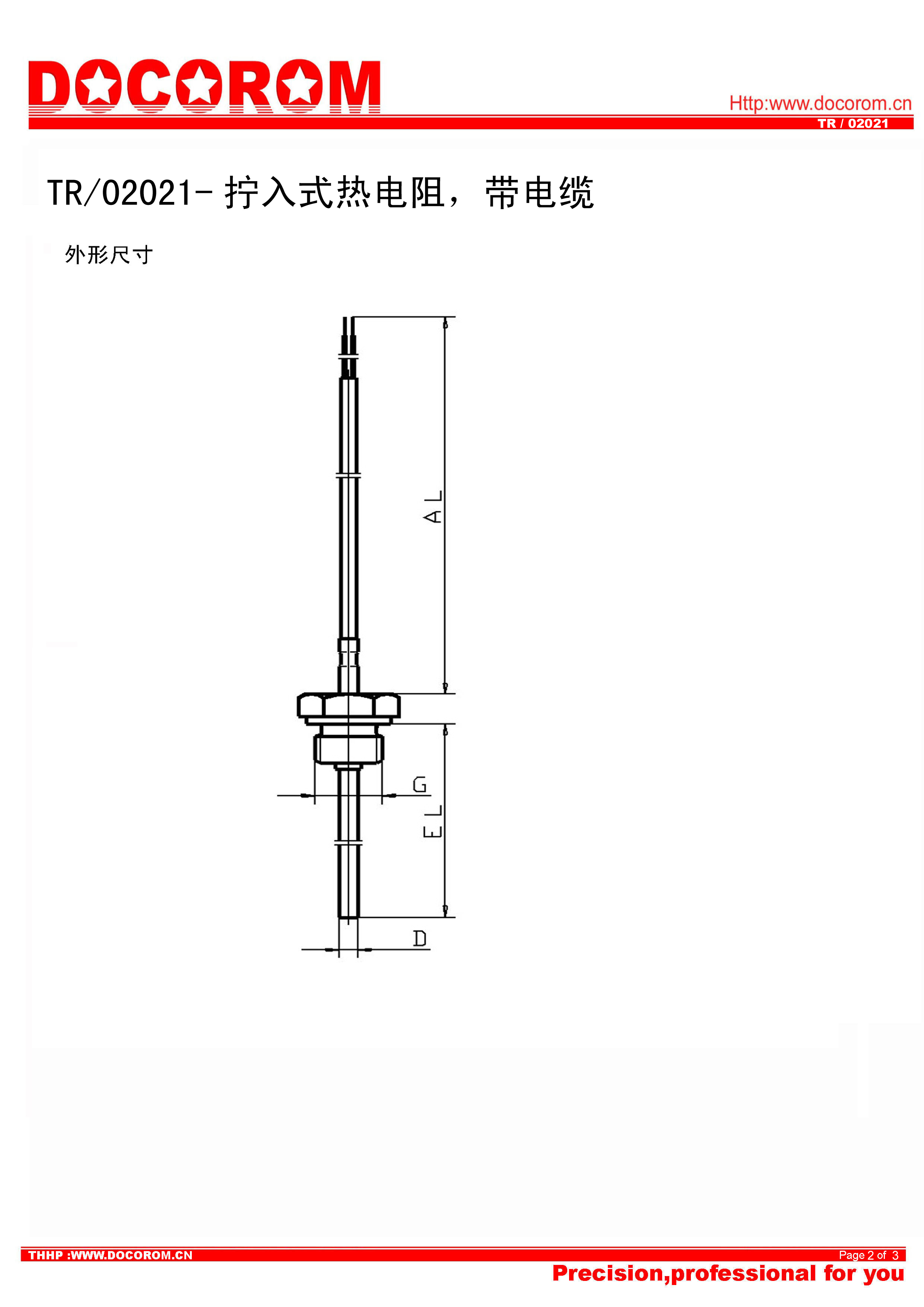 TR02021-擰入式熱電阻，帶電纜-2.jpg