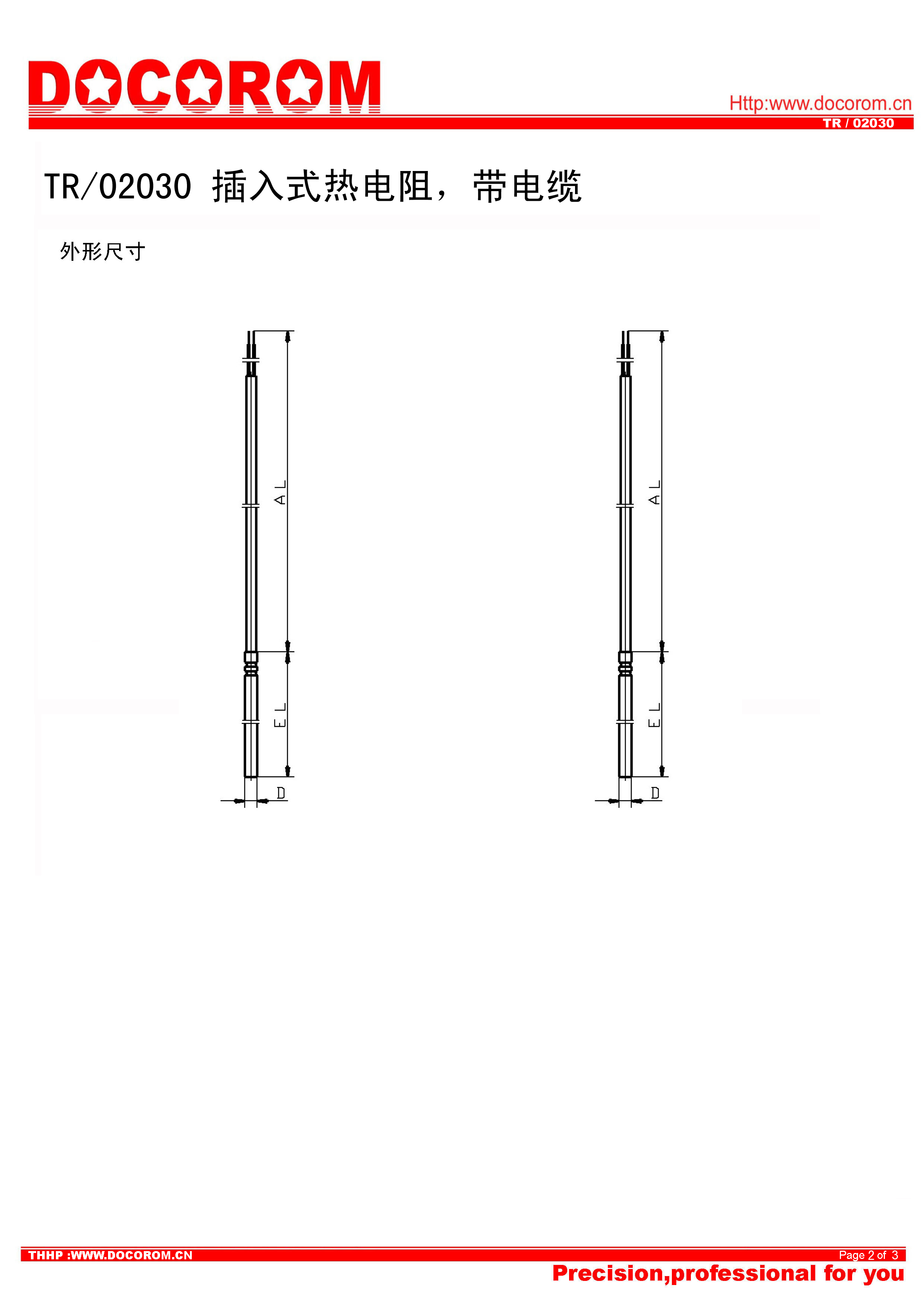 TR02030-插入式熱電阻，帶電纜-2.jpg